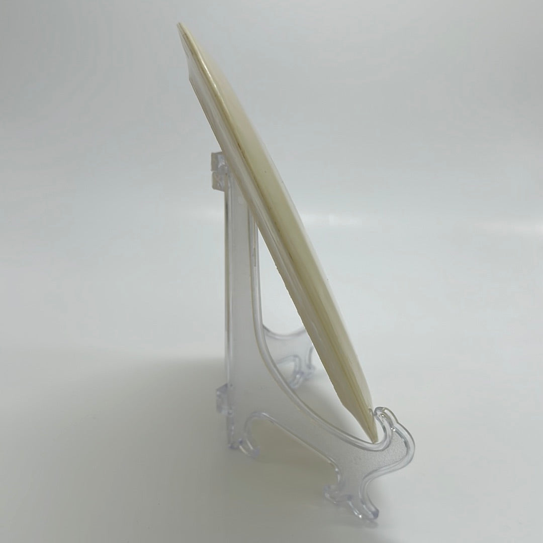 Prodigy D2 | 500