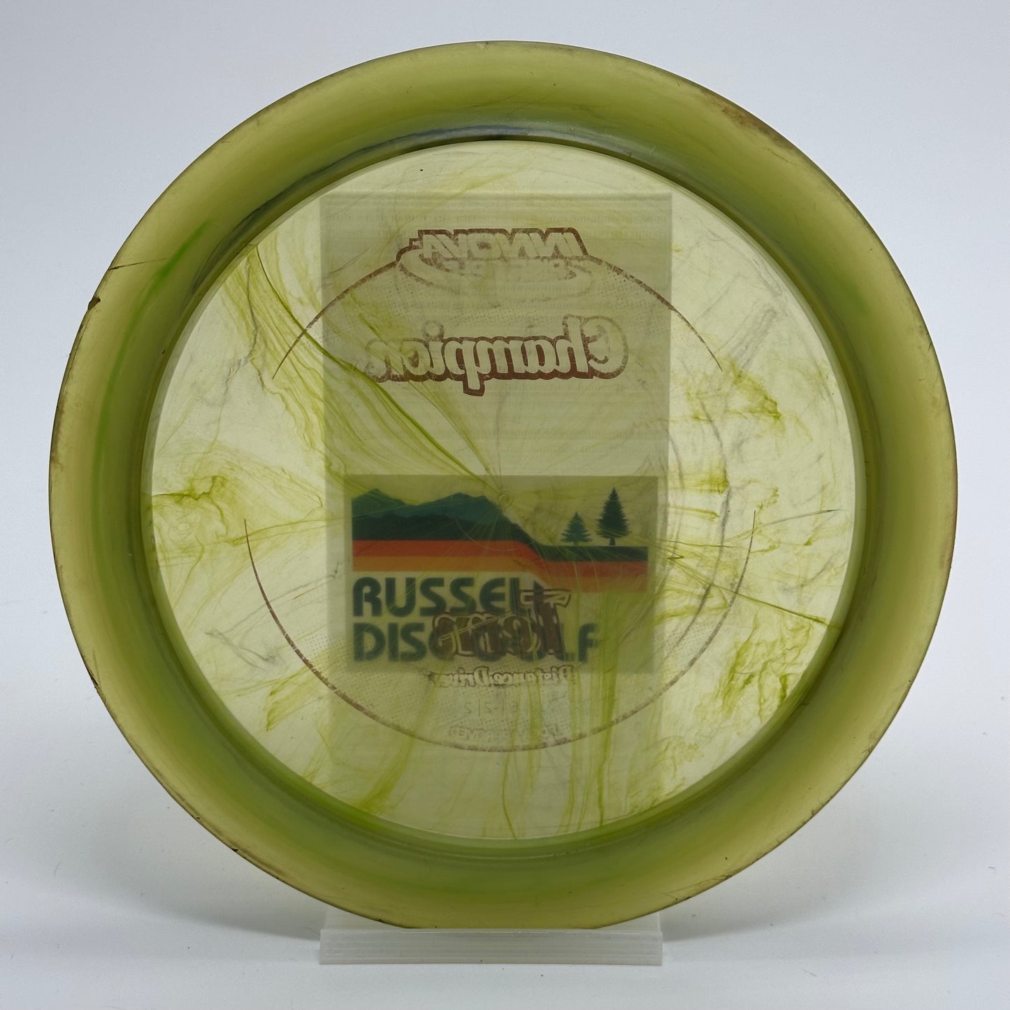 Innova Tern | Champion | Swirly Penned