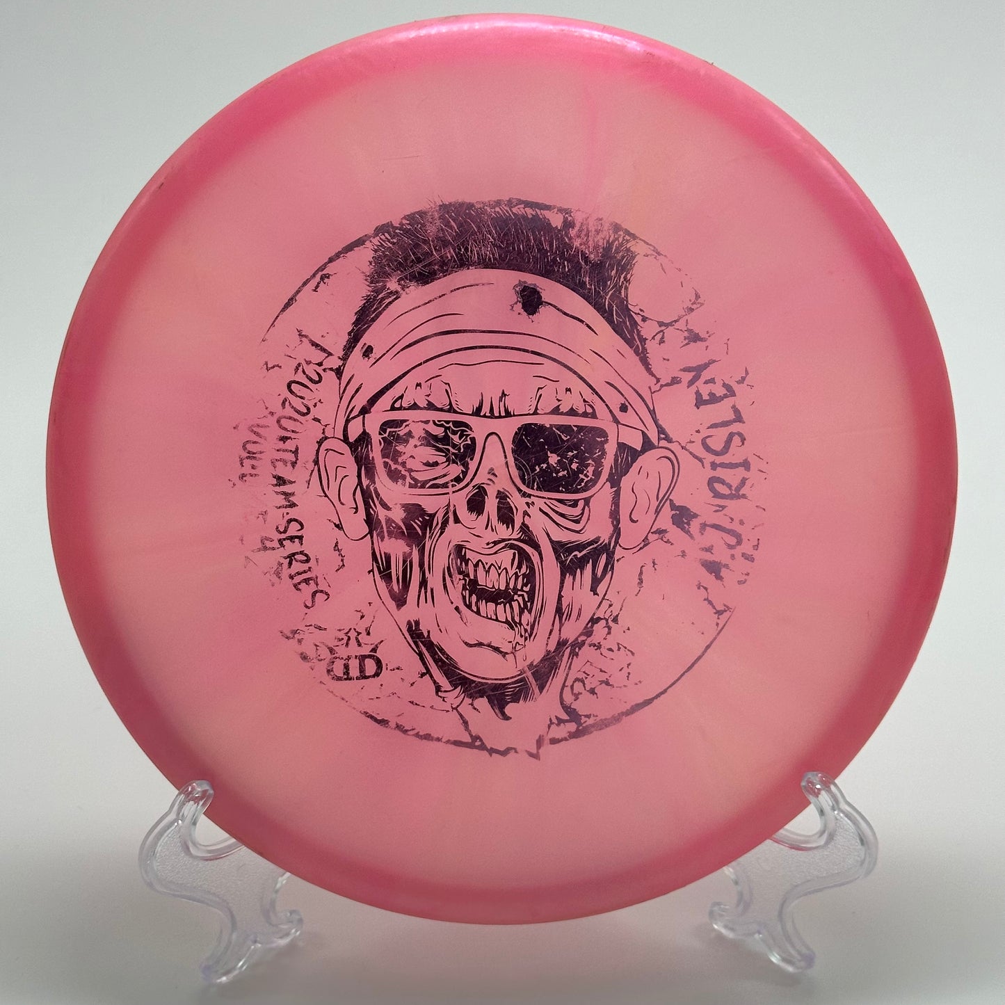 Dynamic Discs Warden | Lucid X Chameleon Moonshine AJ Risley 2020 Team Series V4 Zombie