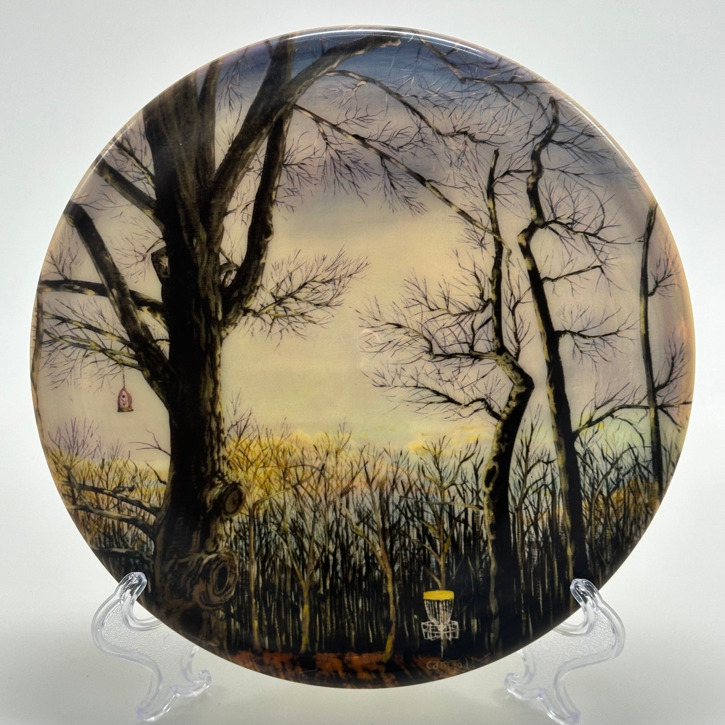 Dynamic Discs Suspect | Fuzion Cam Todd Art Stamp Dyemax Signed