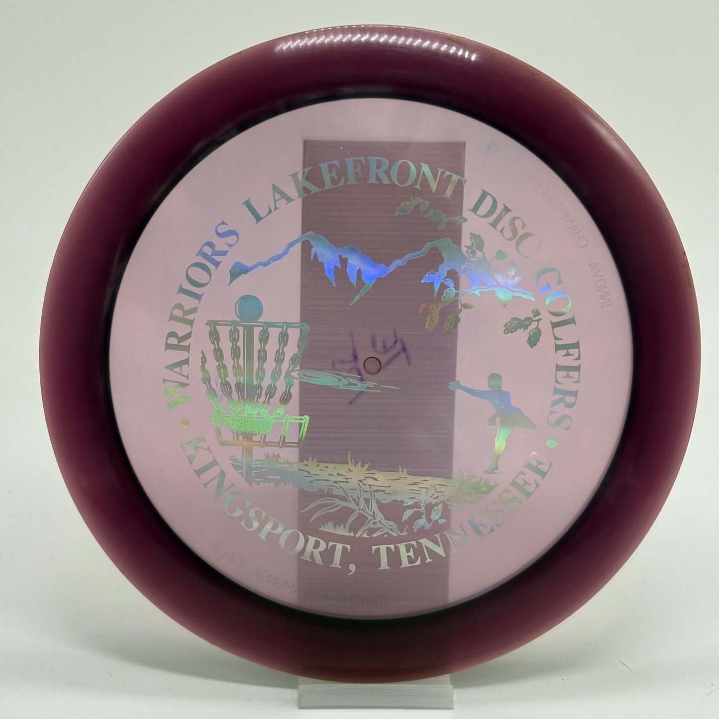 Innova Tern | Gummy Champion | Warriors Lakefront Disc Golfers