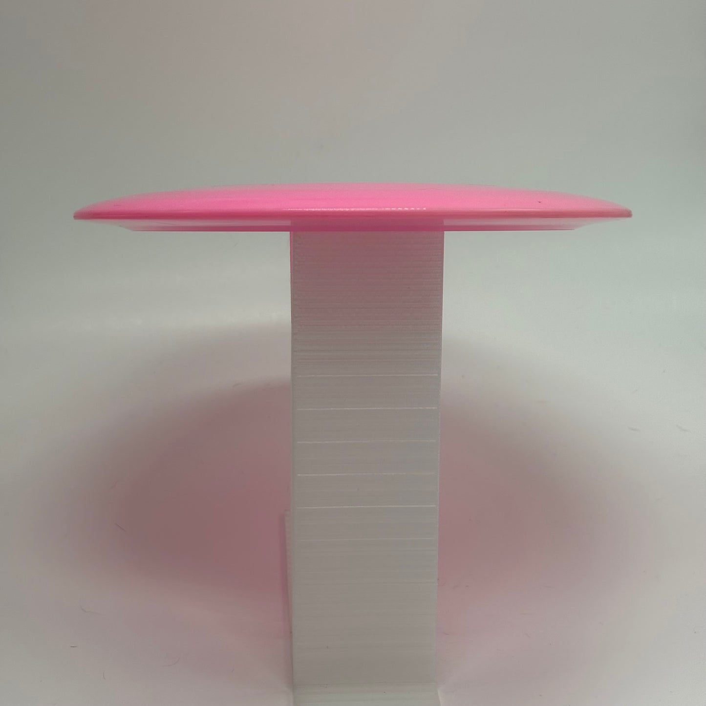 Dynamic Discs Raider | Fuzion