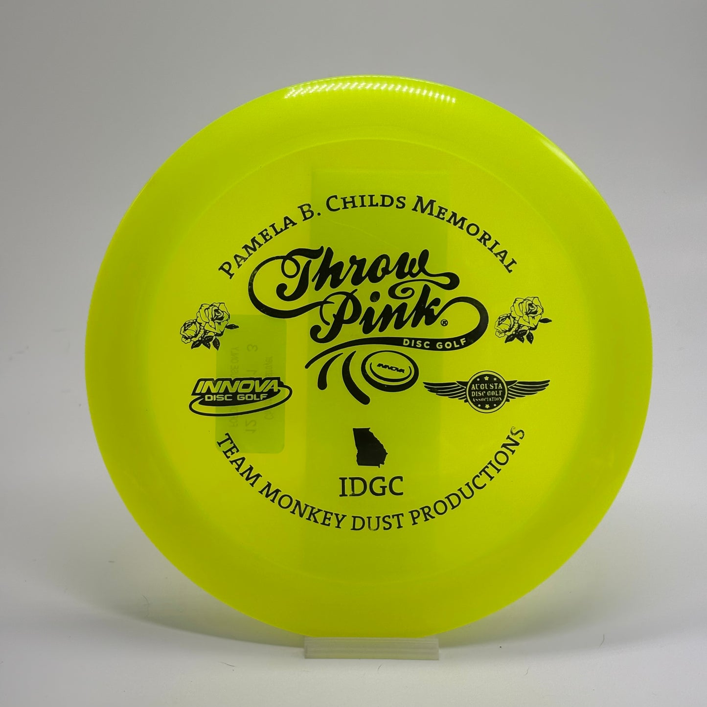 Innova Destroyer | Champion | Pamela B Childs Memorial IDGC