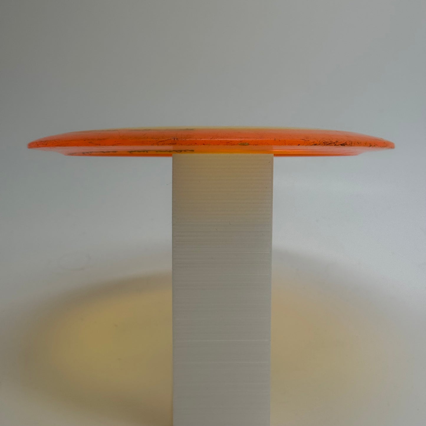 Innova Tern | Champion | Proto Star First Run Penned