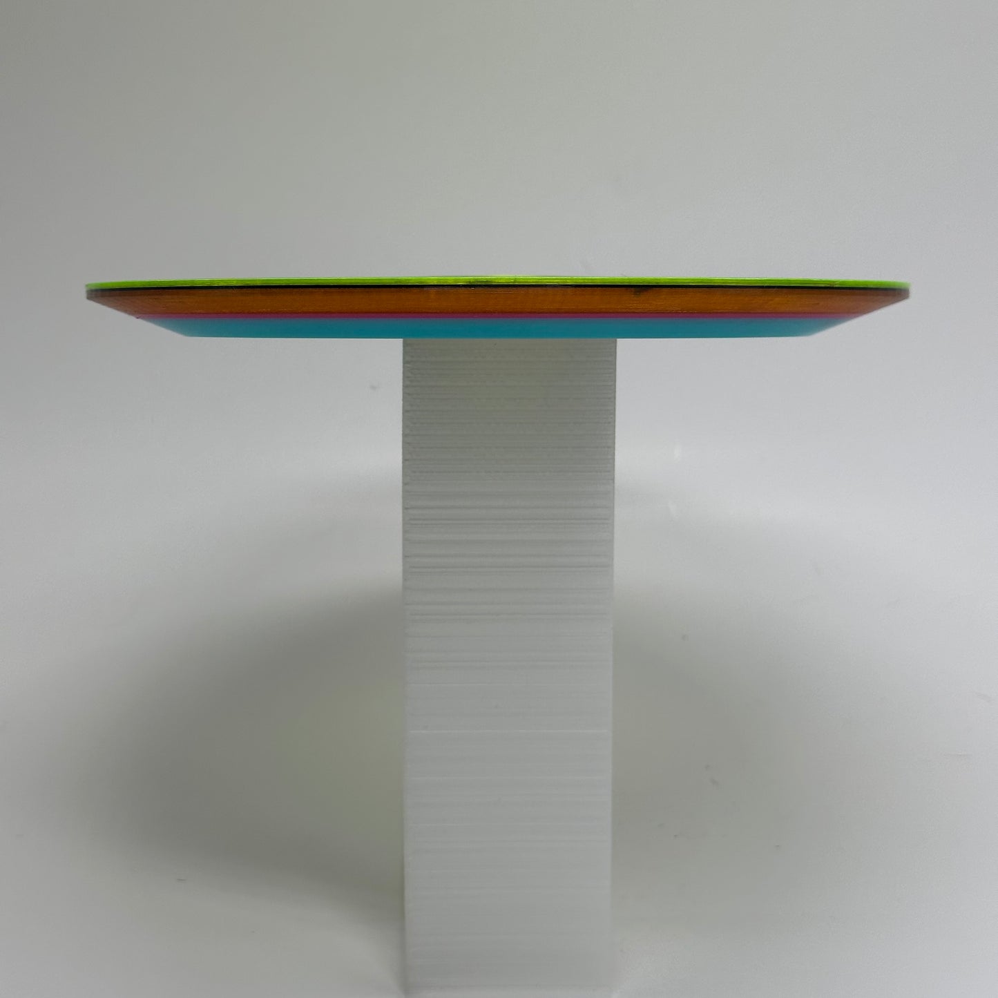 Bear Bite Disc Bear Meets World | NSH 8472